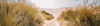 Strand i Danmark